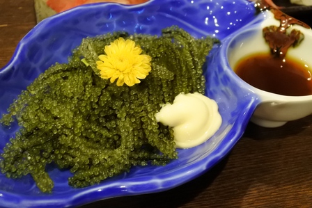 �{�Ó��T�X