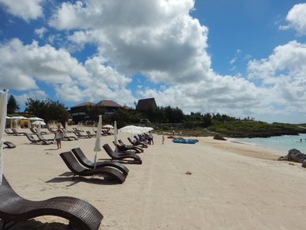 �{�Ó��P�V