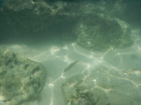 �{�Ó��P�X