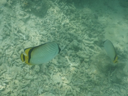 �{�Ó��Q�Q