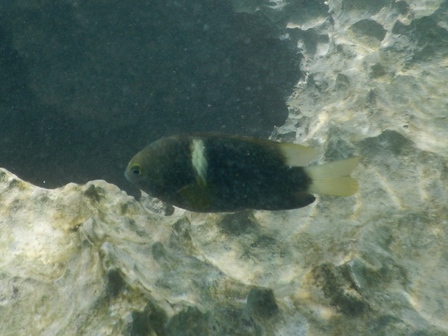 �{�Ó��Q�R