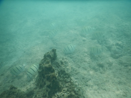 �{�Ó��Q�S