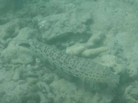 �{�Ó��Q�T