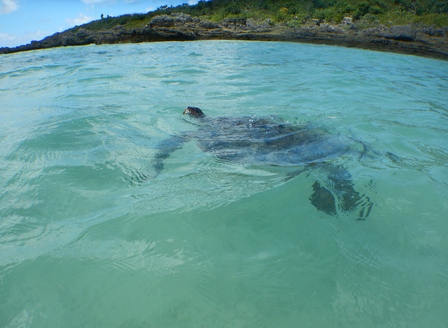 �{�Ó��Q�U