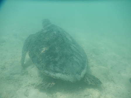 �{�Ó��Q�W