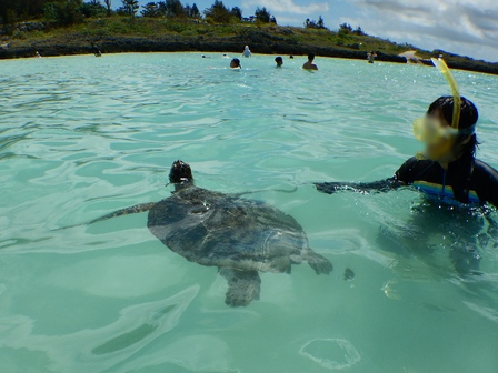 �{�Ó��R�O