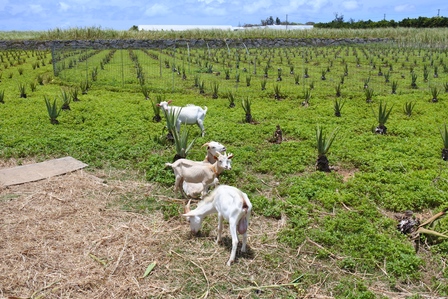 �{�Ó��R�S