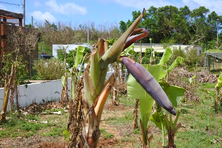 �{�Ó��S�T