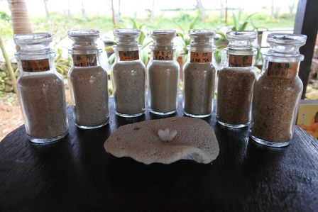 �{�Ó��T�O