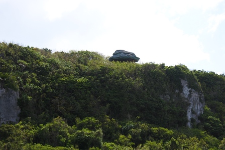 �{�Ó��T�X