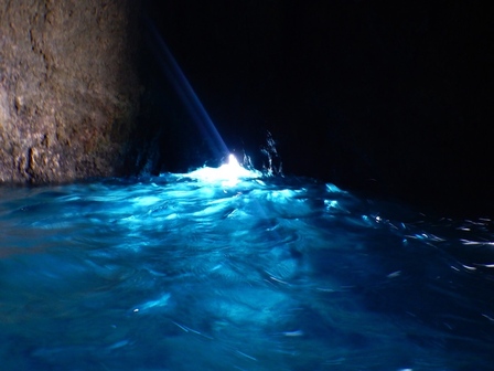 �{�Ó��P�T