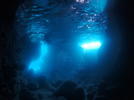 �{�Ó��P�V