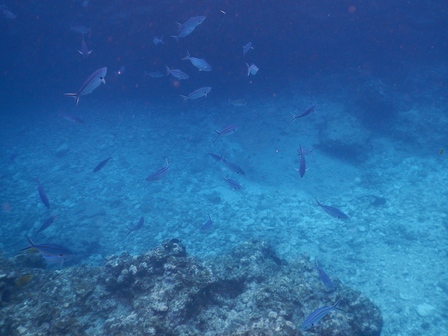 �{�Ó��Q�Q