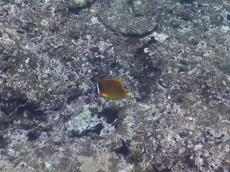 �{�Ó��Q�T