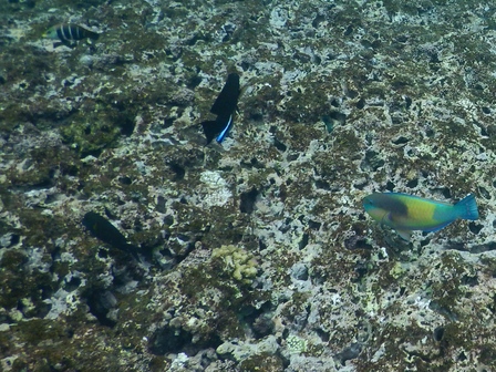 �{�Ó��Q�U