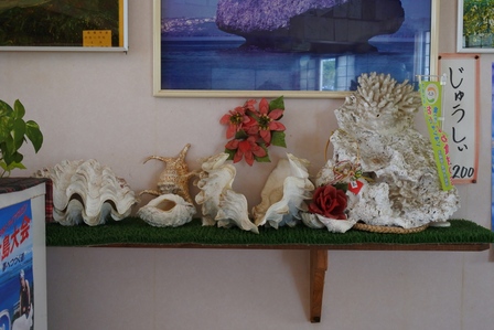 �{�Ó��R�R