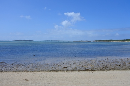 �{�Ó��S�P