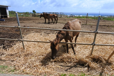 �{�Ó��S�Q