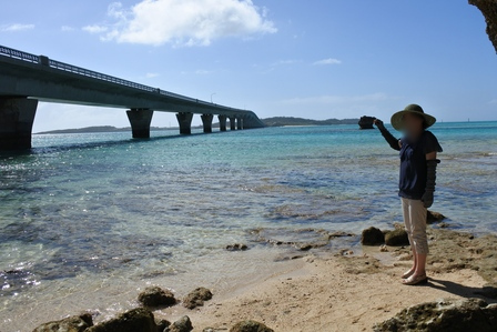 �{�Ó��T�S