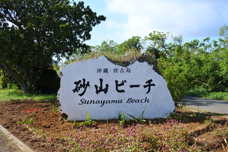 �{�Ó��T�V