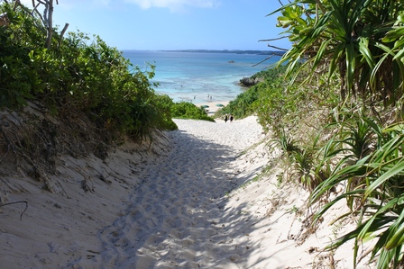 �{�Ó��T�X