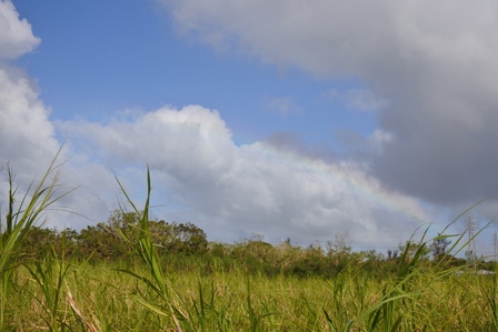 �{�Ó��U�S