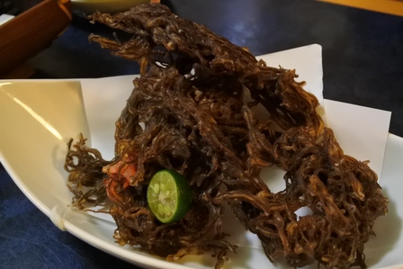 �{�Ó��V�O