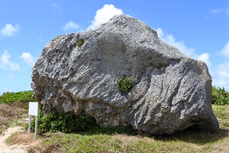 �{�Ó��R�O