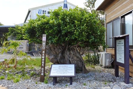 �{�Ó��T�Q