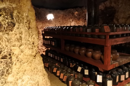 �{�Ó��T�V