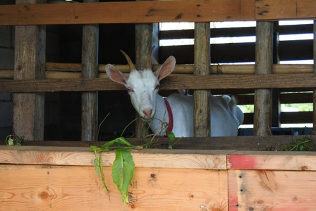 �{�Ó��U�P