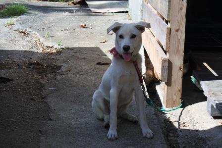 �{�Ó��U�Q