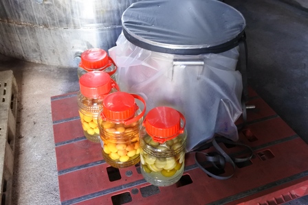 �{�Ó��U�R