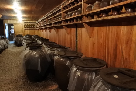 �{�Ó��U�S