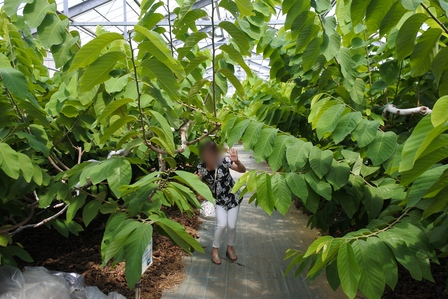 �{�Ó��P�O