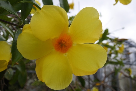 �{�Ó��P�Q