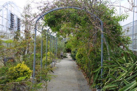 �{�Ó��P�R