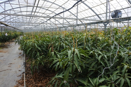 �{�Ó��P�R