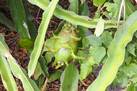 �{�Ó��P�U