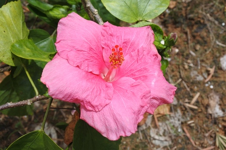 �{�Ó��P�X