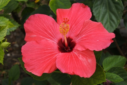 �{�Ó��Q�P