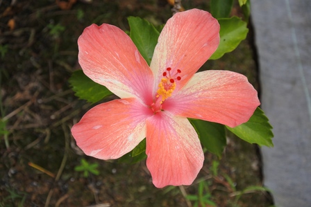 �{�Ó��Q�Q