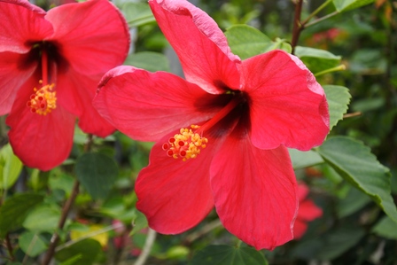 �{�Ó��Q�R