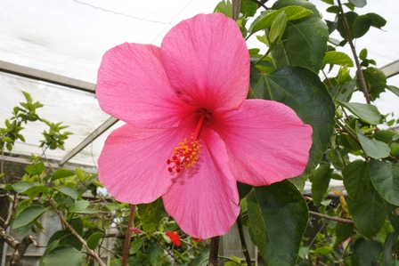 �{�Ó��Q�S