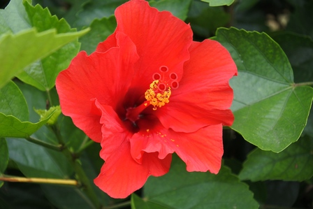 �{�Ó��Q�T