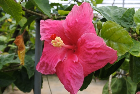 �{�Ó��Q�U