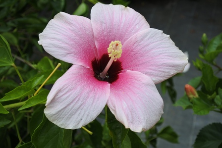 �{�Ó��Q�W