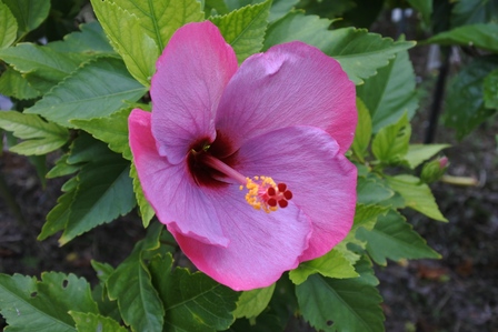 �{�Ó��Q�X