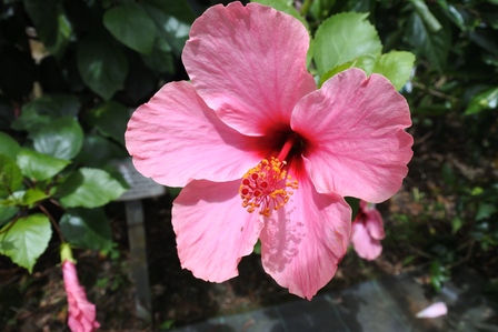 �{�Ó��R�R