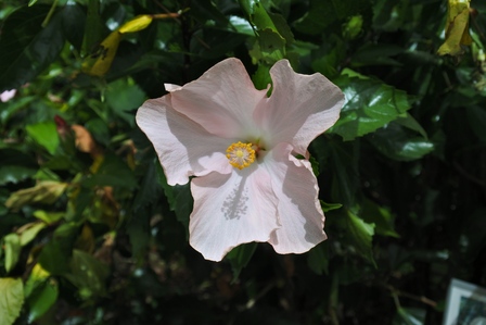 �{�Ó��R�S